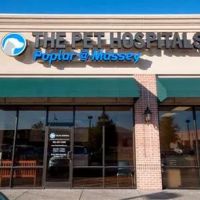 The Pet Hospitals Poplar at Massey ico