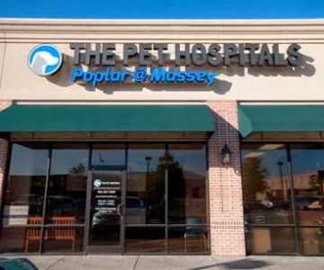 The Pet Hospitals Poplar at Massey