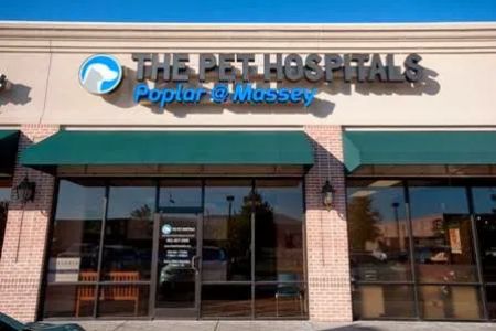 The Pet Hospitals Poplar at Massey