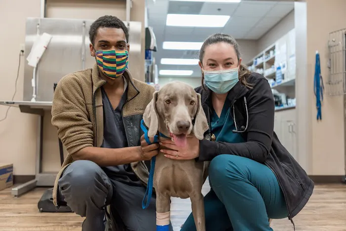 The Pet Hospitals Poplar at Massey 12