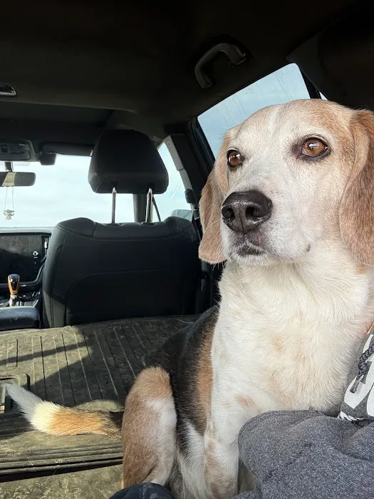 PriorityPet Urgent Care 12