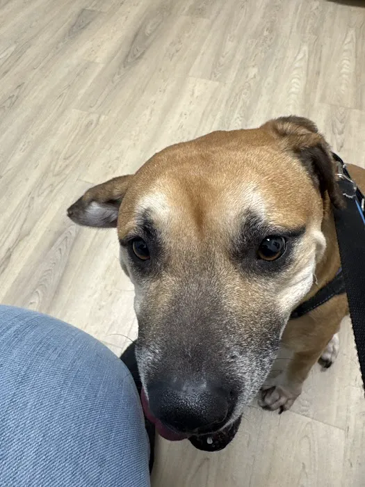 PriorityPet Urgent Care 12