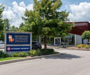 Memphis Veterinary Specialists