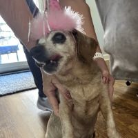 Angel Care Cancer Clinic ico