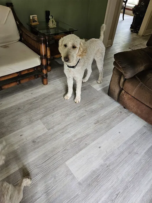 Senatobia Animal Hospital 4