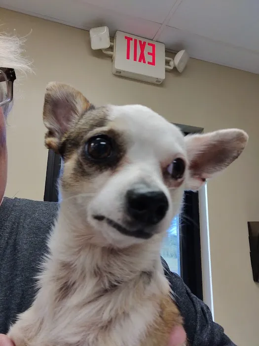 Senatobia Animal Hospital 9