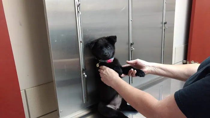 Senatobia Animal Hospital 3