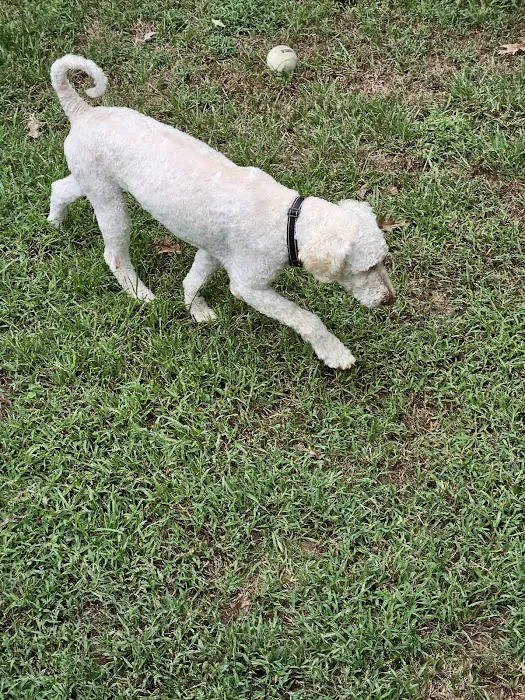 Senatobia Animal Hospital 5
