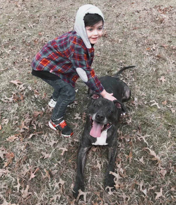 Senatobia Animal Hospital 8
