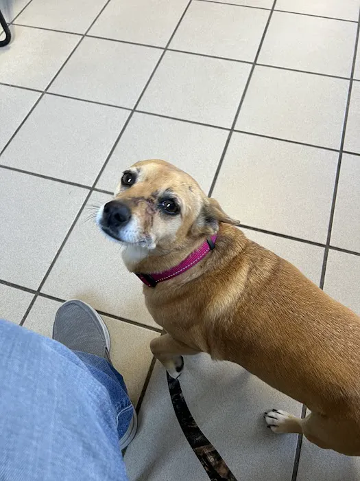 Coldwater Animal Hospital 3