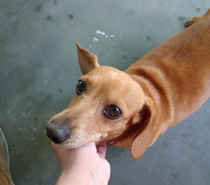 Coldwater Animal Hospital 7