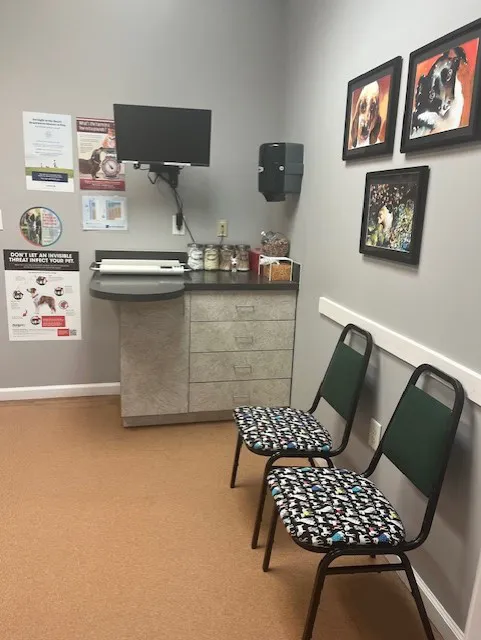 PetCare Animal Hospital 12