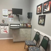 PetCare Animal Hospital ico