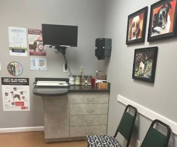 PetCare Animal Hospital