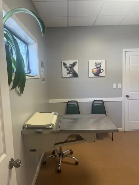 PetCare Animal Hospital 12