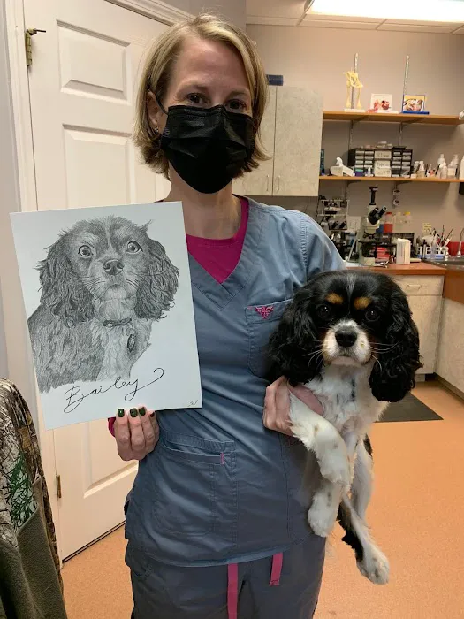 PetCare Animal Hospital 12