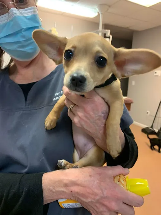 PetCare Animal Hospital 12