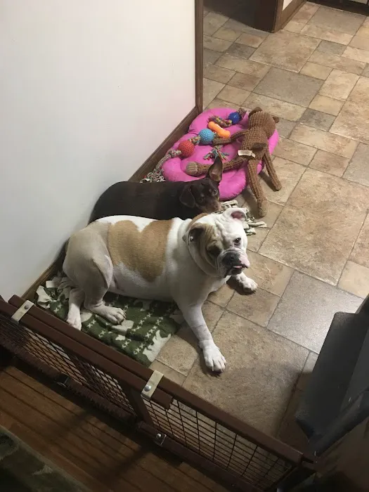 Bryson Veterinary Clinic 1