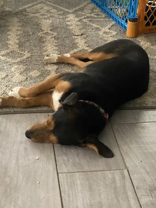 Bryson Veterinary Clinic 8