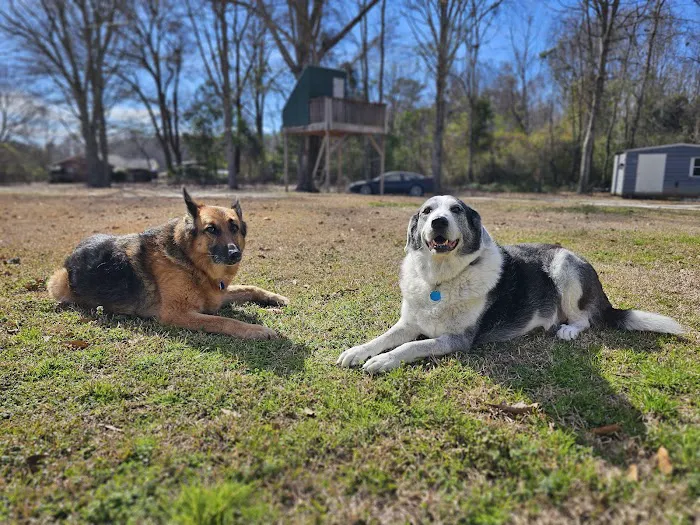 Bryson Veterinary Clinic 10