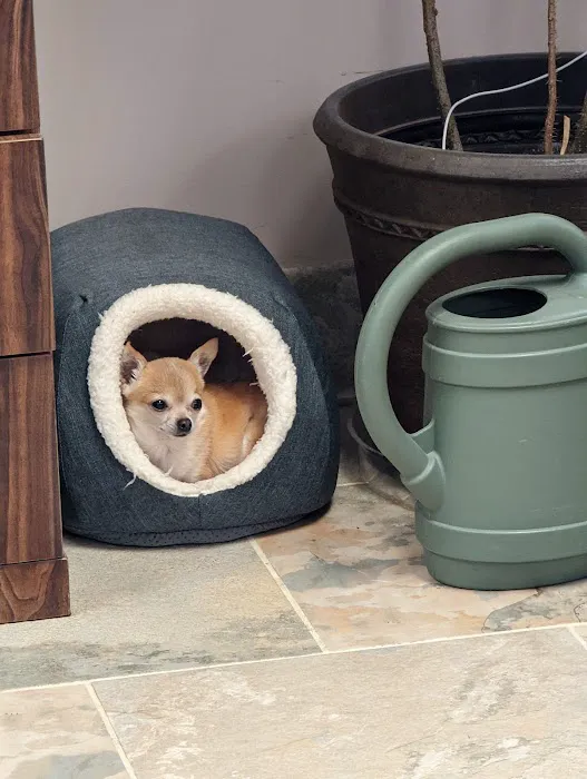 Bryson Veterinary Clinic 3