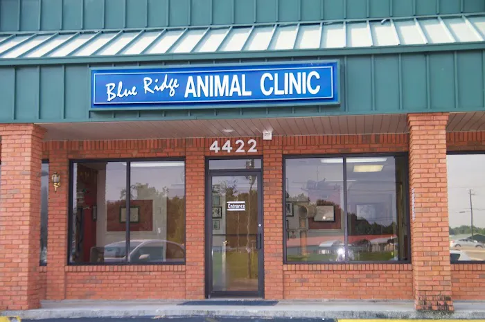 Blue Ridge Animal Clinic 1