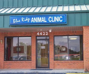 Blue Ridge Animal Clinic
