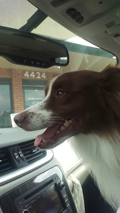 Blue Ridge Animal Clinic 4
