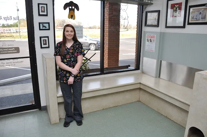 Blue Ridge Animal Clinic 6