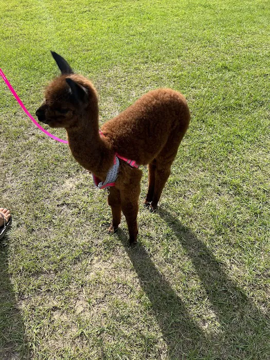 Byrd Creek Veterinary Mobile Service, LLC 12