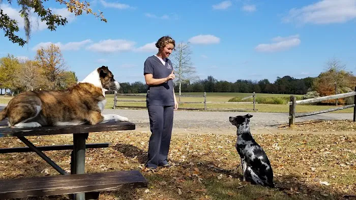 Taylor Crossing Animal Hospital 12