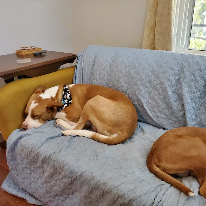 Taylor Crossing Animal Hospital 12