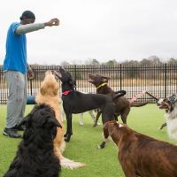 Goodwin Animal Hospital at Pike Road ico