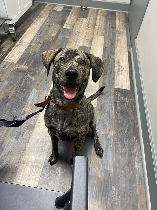Dogwood Park Animal Clinic 12