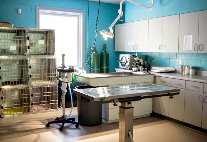 Dogwood Park Animal Clinic 12