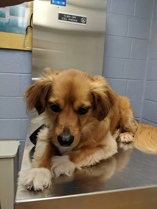 Fort Eisenhower Veterinary Treatment Facility 12