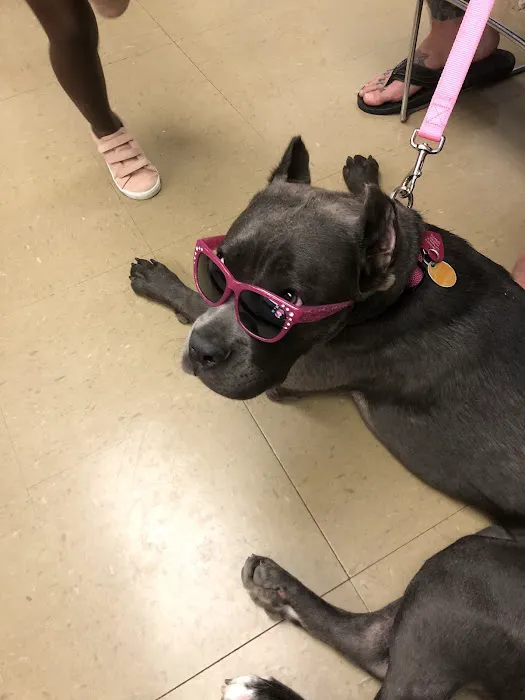 Fort Eisenhower Veterinary Treatment Facility 12