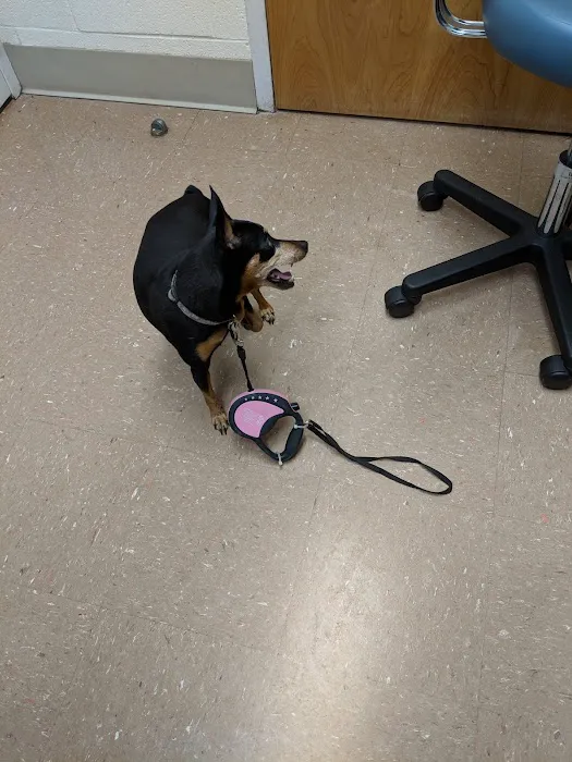 Fort Eisenhower Veterinary Treatment Facility 12