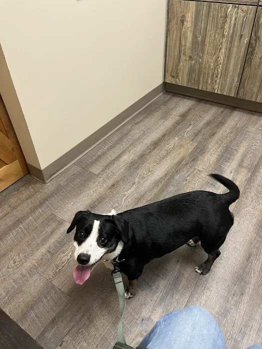 Sanderlin Veterinary Hospital 3