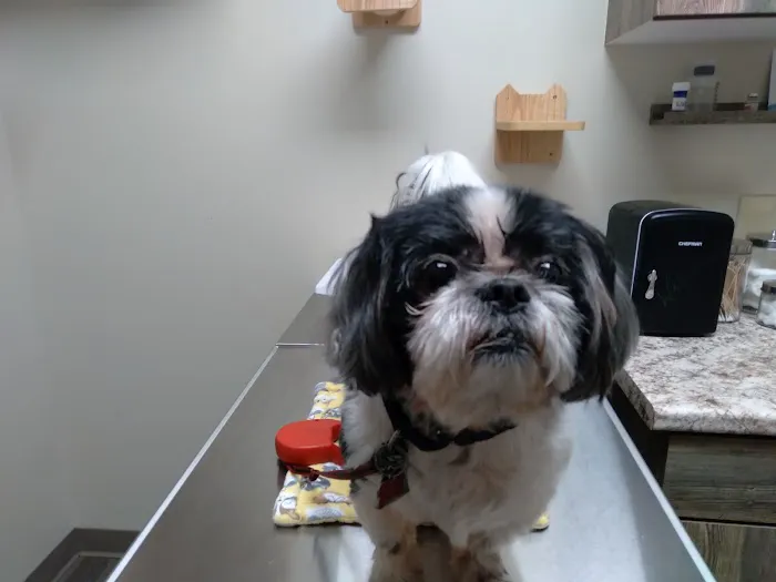 Sanderlin Veterinary Hospital 2