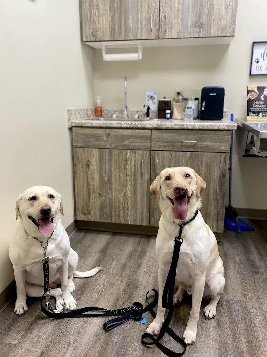 Sanderlin Veterinary Hospital 4