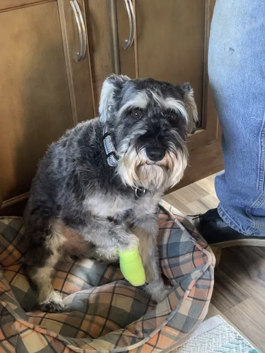 Sanderlin Veterinary Hospital 5