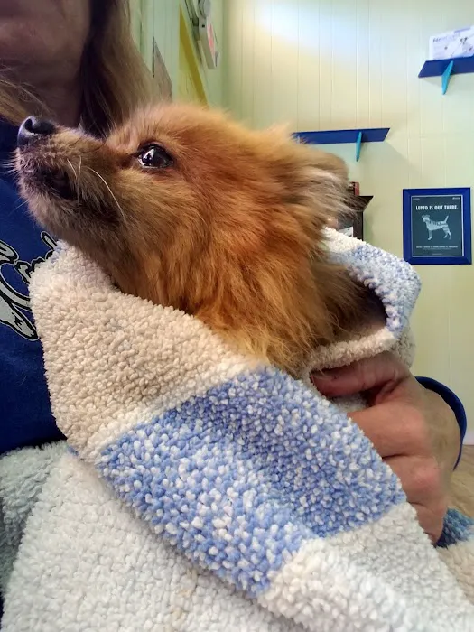 Happy Life Animal Hospital 4