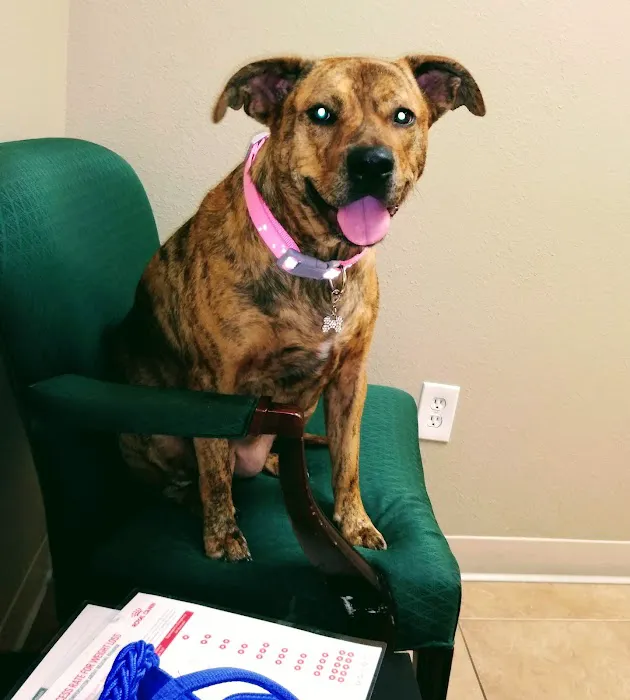 Pine Lakes Animal Hospital 1