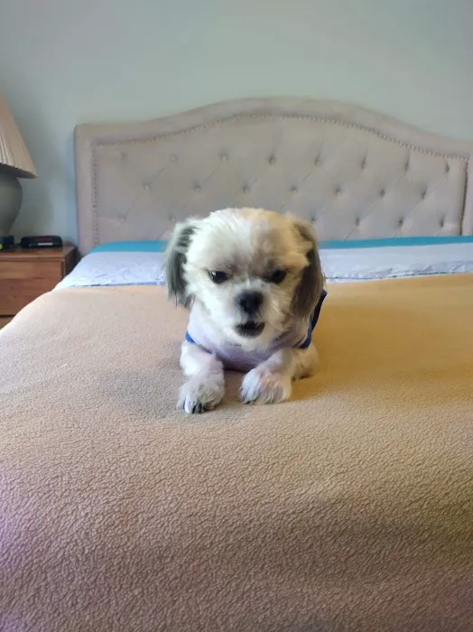 Pine Lakes Animal Hospital 3