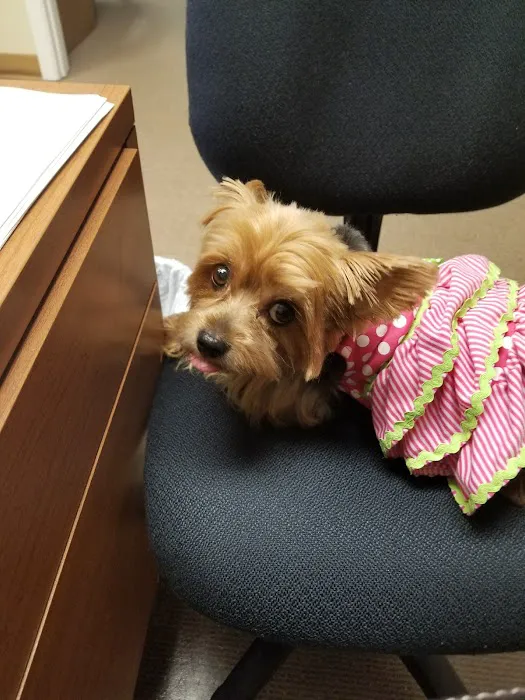 Shelton Veterinary Clinic 12