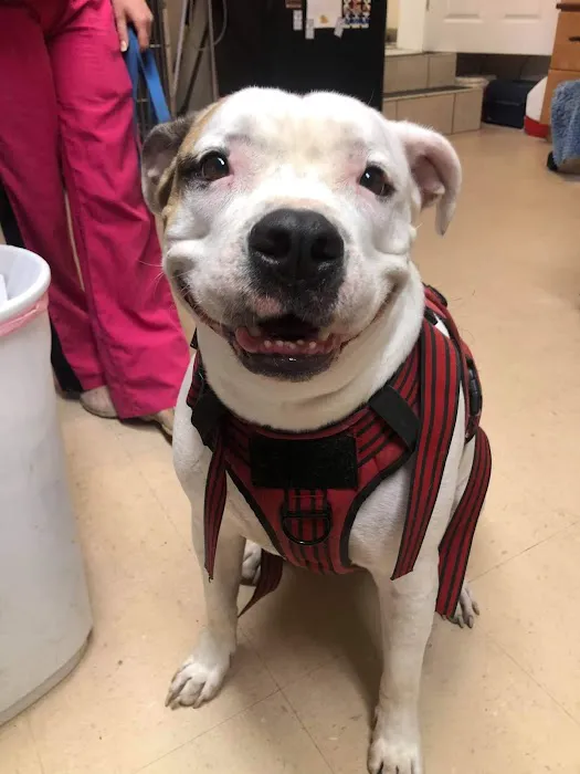 Shelton Veterinary Clinic 12
