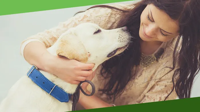 Safe Haven Veterinary Hospital 12