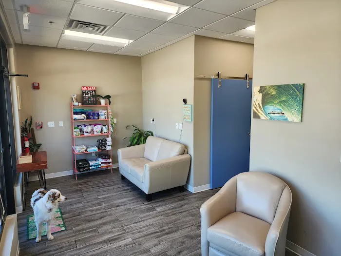 Southern Wind Animal Hospital 1