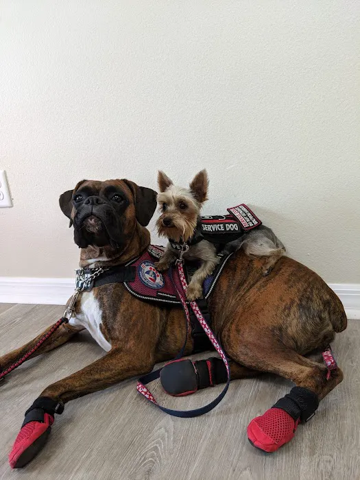 Southern Wind Animal Hospital 9
